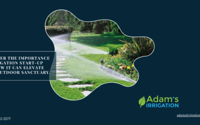 The Vital Role of Irrigation Start-Up and System